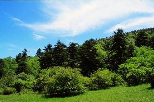 邢臺(tái)沙河市綜合職教中心現(xiàn)代林業(yè)技術(shù)怎么樣？